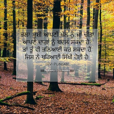 Picture 07 - ਯਿਰਮਿਯਾਹ 13:23 PANIRV - ਭਲਾ, ਕੂਸ਼ੀ ਆਪਣੀ ਖੱਲ - Bible Verse Picture