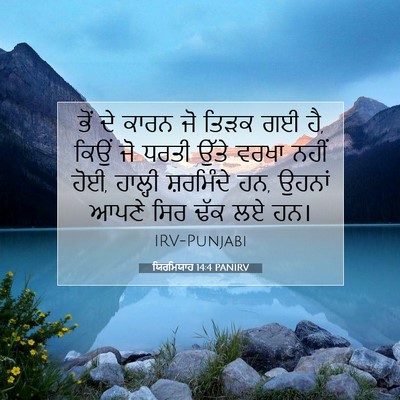 Picture 07 - ਯਿਰਮਿਯਾਹ 14:4 PANIRV - ਭੋਂ ਦੇ ਕਾਰਨ ਜੋ ਤਿੜਕ - Bible Verse Picture