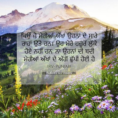 Picture 07 - ਯਿਰਮਿਯਾਹ 16:17 PANIRV - ਕਿਉਂ ਜੋ ਮੇਰੀਆਂ - Bible Verse Picture
