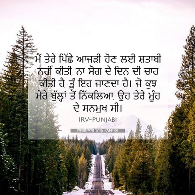 Picture 07 - ਯਿਰਮਿਯਾਹ 17:16 PANIRV - ਮੈਂ ਤੇਰੇ ਪਿੱਛੇ - Bible Verse Picture
