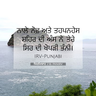 Picture 07 - ਯਿਰਮਿਯਾਹ 2:16 PANIRV - ਨਾਲੇ ਨੋਫ਼ ਅਤੇ - Bible Verse Picture
