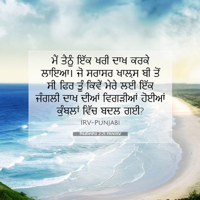 Picture 07 - ਯਿਰਮਿਯਾਹ 2:21 PANIRV - ਮੈਂ ਤੈਨੂੰ ਇੱਕ ਖਰੀ - Bible Verse Picture