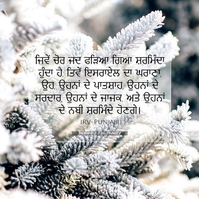 Picture 07 - ਯਿਰਮਿਯਾਹ 2:26 PANIRV - ਜਿਵੇਂ ਚੋਰ ਜਦ ਫੜਿਆ - Bible Verse Picture