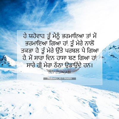Picture 07 - ਯਿਰਮਿਯਾਹ 20:7 PANIRV - ਹੇ ਯਹੋਵਾਹ, ਤੂੰ - Bible Verse Picture