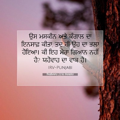 Picture 07 - ਯਿਰਮਿਯਾਹ 22:16 PANIRV - ਉਸ ਮਸਕੀਨ ਅਤੇ ਕੰਗਾਲ - Bible Verse Picture