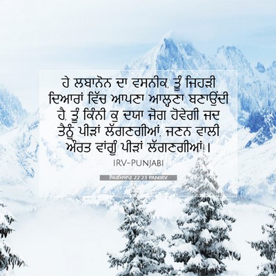 Picture 07 - ਯਿਰਮਿਯਾਹ 22:23 PANIRV - ਹੇ ਲਬਾਨੋਨ ਦਾ ਵਸਨੀਕ, - Bible Verse Picture