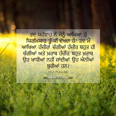 Picture 07 - ਯਿਰਮਿਯਾਹ 24:3 PANIRV - ਤਦ ਯਹੋਵਾਹ ਨੇ ਮੈਨੂੰ - Bible Verse Picture