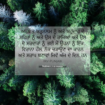 Picture 07 - ਯਿਰਮਿਯਾਹ 25:18 PANIRV - ਅਰਥਾਤ ਯਰੂਸ਼ਲਮ ਨੂੰ - Bible Verse Picture