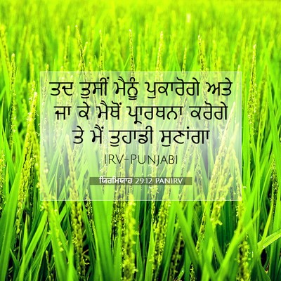 Picture 07 - ਯਿਰਮਿਯਾਹ 29:12 PANIRV - ਤਦ ਤੁਸੀਂ ਮੈਨੂੰ - Bible Verse Picture