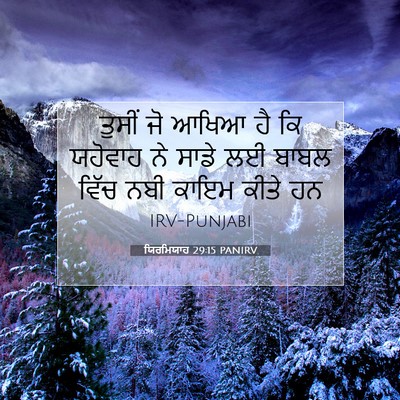 Picture 07 - ਯਿਰਮਿਯਾਹ 29:15 PANIRV - ਤੁਸੀਂ ਜੋ ਆਖਿਆ ਹੈ ਕਿ - Bible Verse Picture