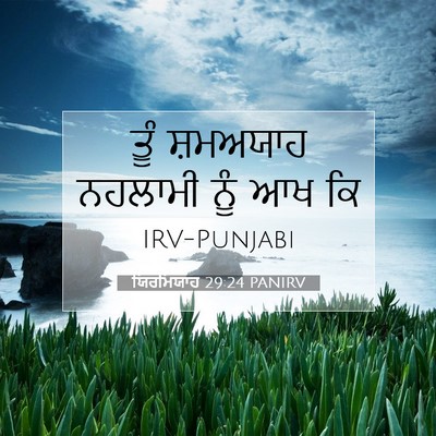 Picture 07 - ਯਿਰਮਿਯਾਹ 29:24 PANIRV - ਤੂੰ ਸ਼ਮਅਯਾਹ - Bible Verse Picture