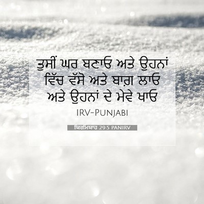 Picture 07 - ਯਿਰਮਿਯਾਹ 29:5 PANIRV - ਤੁਸੀਂ ਘਰ ਬਣਾਓ ਅਤੇ - Bible Verse Picture