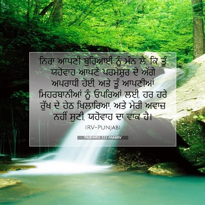 Picture 07 - ਯਿਰਮਿਯਾਹ 3:13 PANIRV - ਨਿਰਾ ਆਪਣੀ ਬੁਰਿਆਈ - Bible Verse Picture