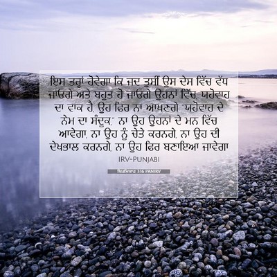 Picture 07 - ਯਿਰਮਿਯਾਹ 3:16 PANIRV - ਇਸ ਤਰ੍ਹਾਂ ਹੋਵੇਗਾ - Bible Verse Picture
