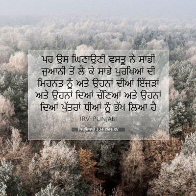 Picture 07 - ਯਿਰਮਿਯਾਹ 3:24 PANIRV - ਪਰ ਉਸ ਘਿਣਾਉਣੀ ਵਸਤੂ - Bible Verse Picture