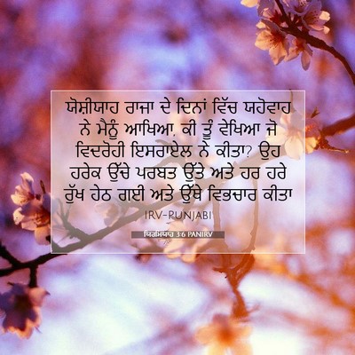 Picture 07 - ਯਿਰਮਿਯਾਹ 3:6 PANIRV - ਯੋਸ਼ੀਯਾਹ ਰਾਜਾ ਦੇ - Bible Verse Picture