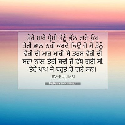 Picture 07 - ਯਿਰਮਿਯਾਹ 30:14 PANIRV - ਤੇਰੇ ਸਾਰੇ ਪ੍ਰੇਮੀ - Bible Verse Picture