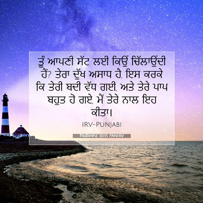 Picture 07 - ਯਿਰਮਿਯਾਹ 30:15 PANIRV - ਤੂੰ ਆਪਣੀ ਸੱਟ ਲਈ - Bible Verse Picture