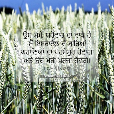 Picture 07 - ਯਿਰਮਿਯਾਹ 31:1 PANIRV - ਉਸ ਸਮੇਂ, ਯਹੋਵਾਹ ਦਾ - Bible Verse Picture