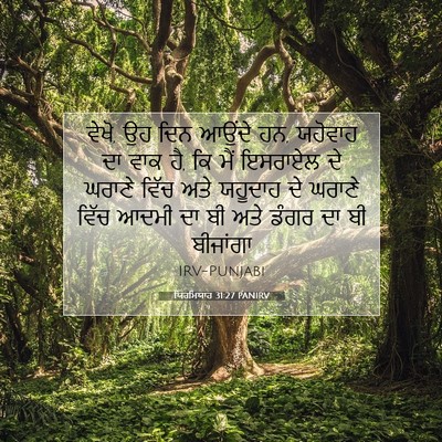 Picture 07 - ਯਿਰਮਿਯਾਹ 31:27 PANIRV - ਵੇਖੋ, ਉਹ ਦਿਨ ਆਉਂਦੇ - Bible Verse Picture