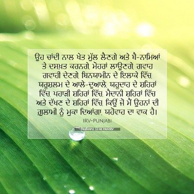Picture 07 - ਯਿਰਮਿਯਾਹ 32:44 PANIRV - ਉਹ ਚਾਂਦੀ ਨਾਲ ਖੇਤ - Bible Verse Picture