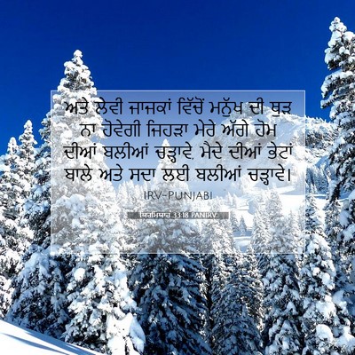 Picture 07 - ਯਿਰਮਿਯਾਹ 33:18 PANIRV - ਅਤੇ ਲੇਵੀ ਜਾਜਕਾਂ - Bible Verse Picture
