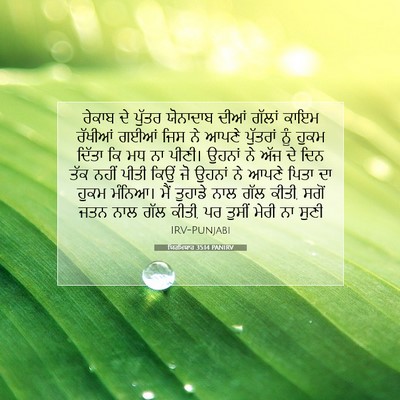 Picture 07 - ਯਿਰਮਿਯਾਹ 35:14 PANIRV - ਰੇਕਾਬ ਦੇ ਪੁੱਤਰ - Bible Verse Picture