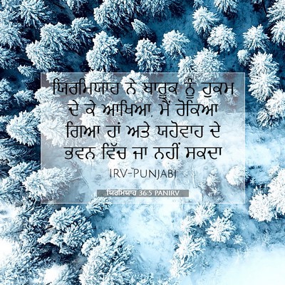 Picture 07 - ਯਿਰਮਿਯਾਹ 36:5 PANIRV - ਯਿਰਮਿਯਾਹ ਨੇ ਬਾਰੂਕ - Bible Verse Picture