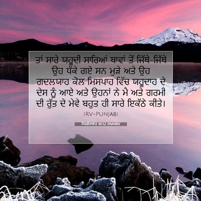 Picture 07 - ਯਿਰਮਿਯਾਹ 40:12 PANIRV - ਤਾਂ ਸਾਰੇ ਯਹੂਦੀ - Bible Verse Picture