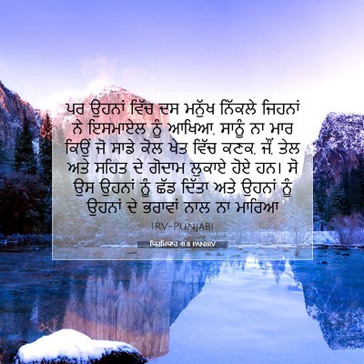 Picture 07 - ਯਿਰਮਿਯਾਹ 41:8 PANIRV - ਪਰ ਉਹਨਾਂ ਵਿੱਚ ਦਸ - Bible Verse Picture