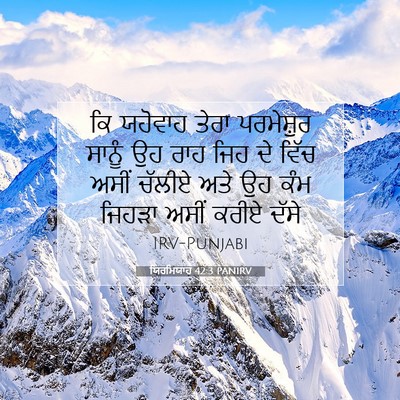 Picture 07 - ਯਿਰਮਿਯਾਹ 42:3 PANIRV - ਕਿ ਯਹੋਵਾਹ ਤੇਰਾ - Bible Verse Picture