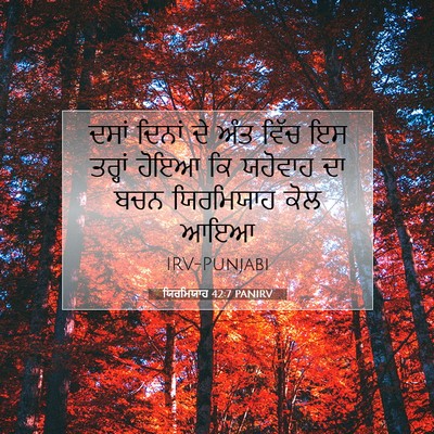 Picture 07 - ਯਿਰਮਿਯਾਹ 42:7 PANIRV - ਦਸਾਂ ਦਿਨਾਂ ਦੇ ਅੰਤ - Bible Verse Picture