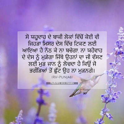Picture 07 - ਯਿਰਮਿਯਾਹ 44:14 PANIRV - ਸੋ ਯਹੂਦਾਹ ਦੇ ਬਾਕੀ - Bible Verse Picture