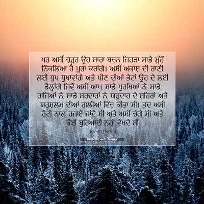 Picture 07 - ਯਿਰਮਿਯਾਹ 44:17 PANIRV - ਪਰ ਅਸੀਂ ਜ਼ਰੂਰ ਉਹ - Bible Verse Picture
