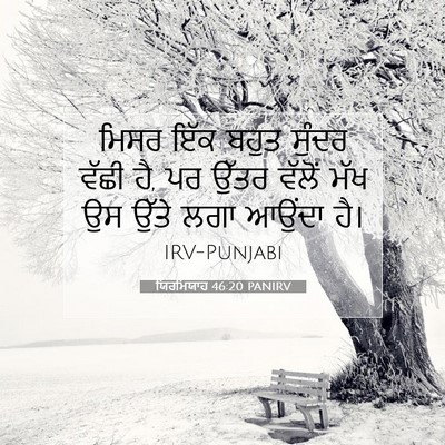 Picture 07 - ਯਿਰਮਿਯਾਹ 46:20 PANIRV - ਮਿਸਰ ਇੱਕ ਬਹੁਤ - Bible Verse Picture
