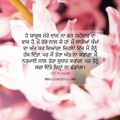 Picture 07 - ਯਿਰਮਿਯਾਹ 46:28 PANIRV - ਹੇ ਯਾਕੂਬ ਮੇਰੇ ਦਾਸ, - Bible Verse Picture