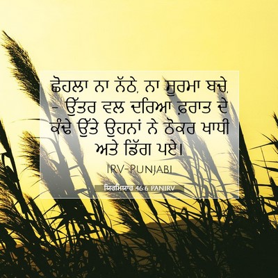 Picture 07 - ਯਿਰਮਿਯਾਹ 46:6 PANIRV - ਛੋਹਲਾ ਨਾ ਨੱਠੇ, ਨਾ - Bible Verse Picture