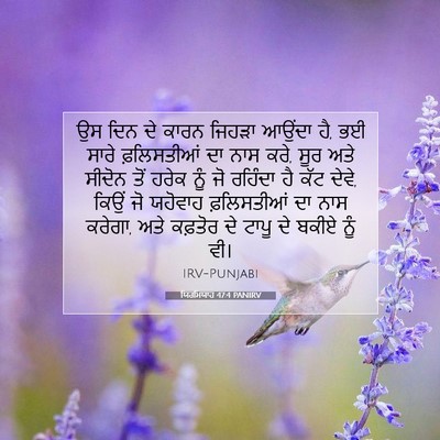 Picture 07 - ਯਿਰਮਿਯਾਹ 47:4 PANIRV - ਉਸ ਦਿਨ ਦੇ ਕਾਰਨ - Bible Verse Picture