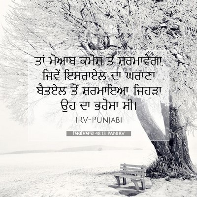 Picture 07 - ਯਿਰਮਿਯਾਹ 48:13 PANIRV - ਤਾਂ ਮੋਆਬ ਕਮੋਸ਼ ਤੋਂ - Bible Verse Picture