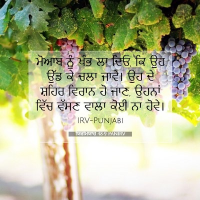 Picture 07 - ਯਿਰਮਿਯਾਹ 48:9 PANIRV - ਮੋਆਬ ਨੂੰ ਖੰਭ ਲਾ - Bible Verse Picture