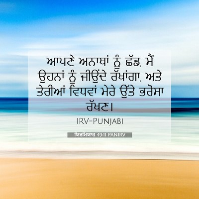Picture 07 - ਯਿਰਮਿਯਾਹ 49:11 PANIRV - ਆਪਣੇ ਅਨਾਥਾਂ ਨੂੰ - Bible Verse Picture