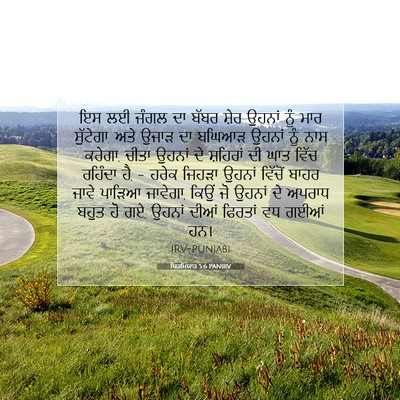 Picture 07 - ਯਿਰਮਿਯਾਹ 5:6 PANIRV - ਇਸ ਲਈ ਜੰਗਲ ਦਾ ਬੱਬਰ - Bible Verse Picture
