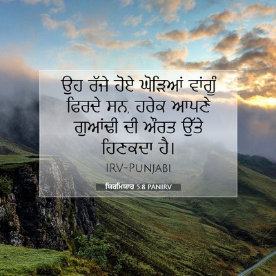 Picture 07 - ਯਿਰਮਿਯਾਹ 5:8 PANIRV - ਉਹ ਰੱਜੇ ਹੋਏ ਘੋੜਿਆਂ - Bible Verse Picture
