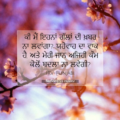 Picture 07 - ਯਿਰਮਿਯਾਹ 5:9 PANIRV - ਕੀ ਮੈਂ ਇਹਨਾਂ ਗੱਲਾਂ - Bible Verse Picture