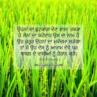 Picture 07 - ਯਿਰਮਿਯਾਹ 50:34 PANIRV - ਉਹਨਾਂ ਦਾ ਛੁਟਕਾਰਾ - Bible Verse Picture