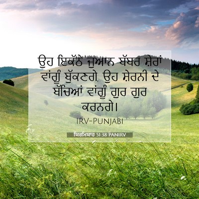 Picture 07 - ਯਿਰਮਿਯਾਹ 51:38 PANIRV - ਉਹ ਇਕੱਠੇ ਜੁਆਨ ਬੱਬਰ - Bible Verse Picture