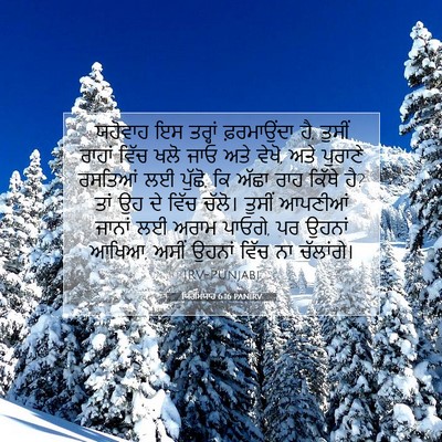 Picture 07 - ਯਿਰਮਿਯਾਹ 6:16 PANIRV - ਯਹੋਵਾਹ ਇਸ ਤਰ੍ਹਾਂ - Bible Verse Picture