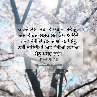 Picture 07 - ਯਿਰਮਿਯਾਹ 6:20 PANIRV - ਕਾਹਦੇ ਲਈ ਸ਼ਬਾ ਤੋਂ - Bible Verse Picture
