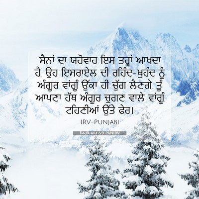 Picture 07 - ਯਿਰਮਿਯਾਹ 6:9 PANIRV - ਸੈਨਾਂ ਦਾ ਯਹੋਵਾਹ ਇਸ - Bible Verse Picture
