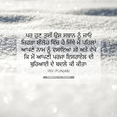 Picture 07 - ਯਿਰਮਿਯਾਹ 7:12 PANIRV - ਪਰ ਹੁਣ ਤੁਸੀਂ ਉਸ - Bible Verse Picture